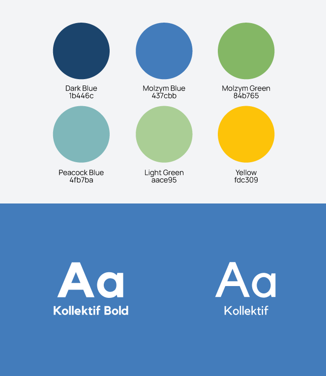 Color Palette & Typography